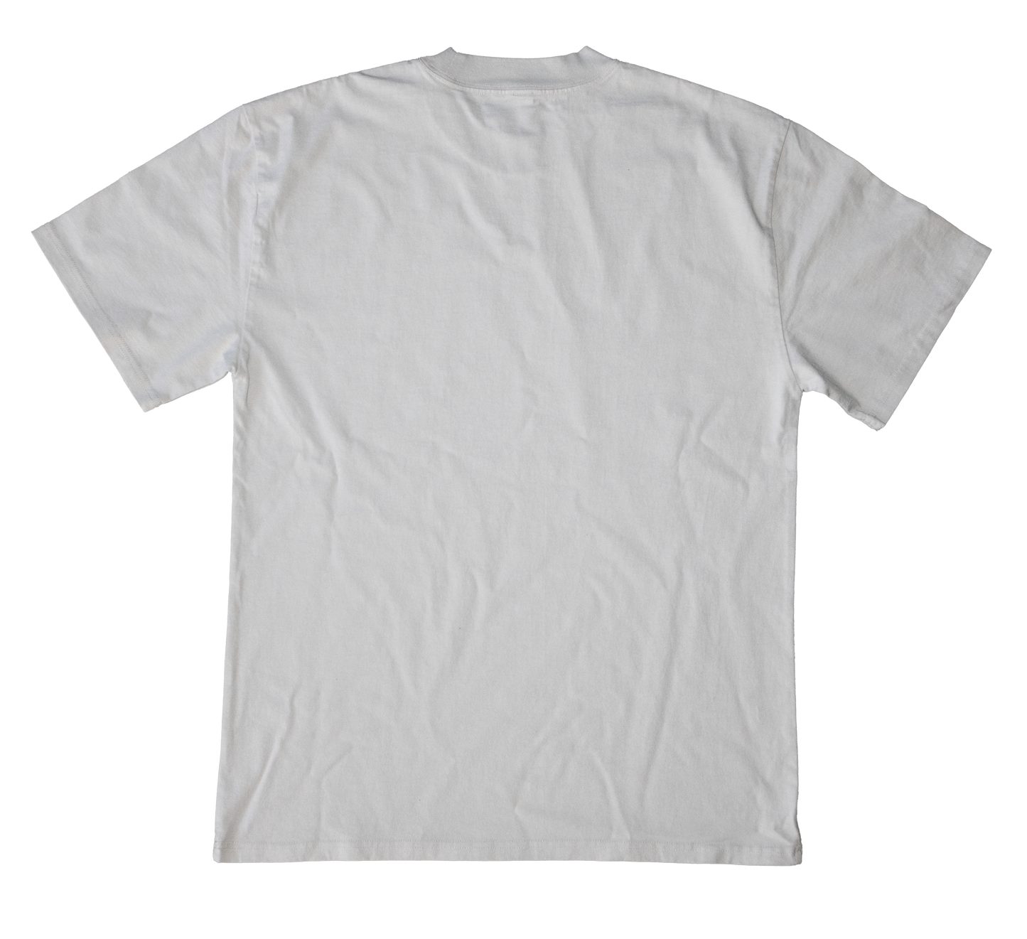 Surf Experiences Graphic T-Shirt