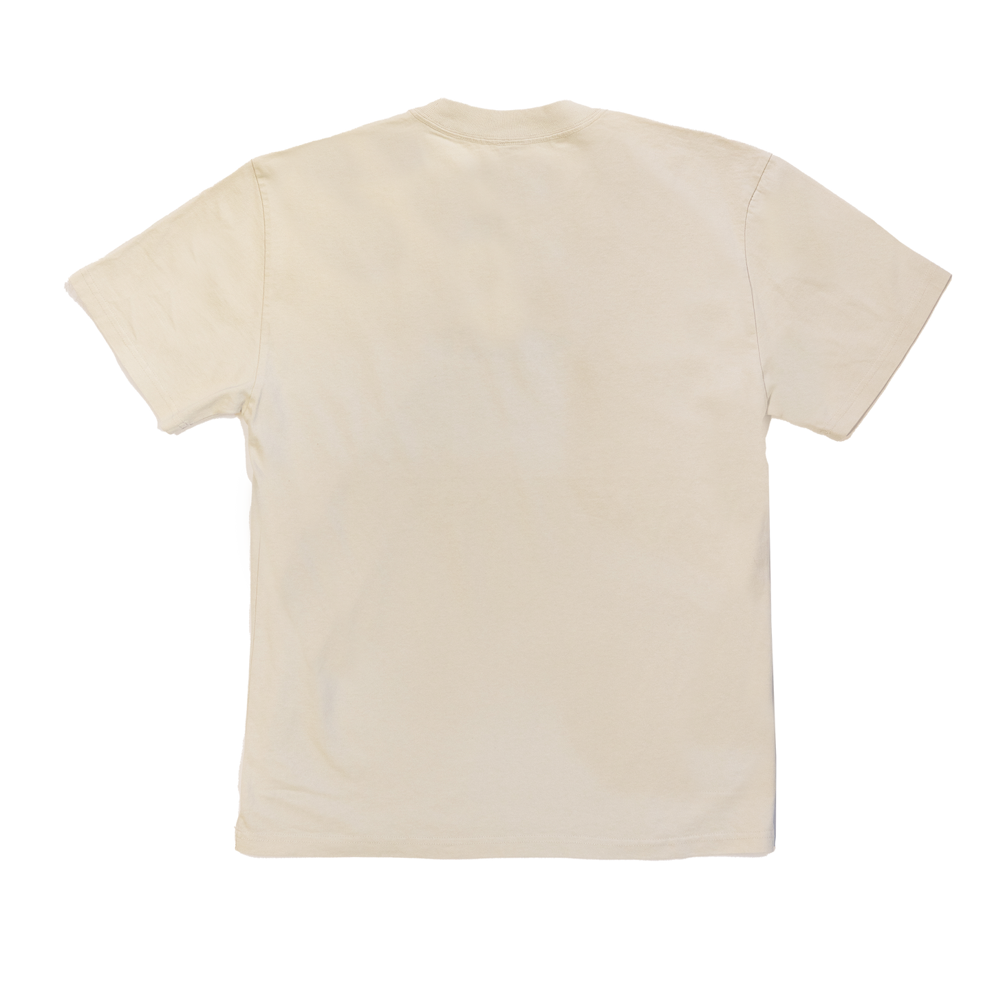 Adult Embroidered T-Shirt